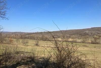 Casă cu Teren 19 Mp în Tămășești - 1