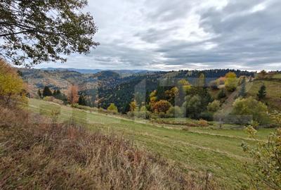 Teren de 6200 mp, în Florești - 7