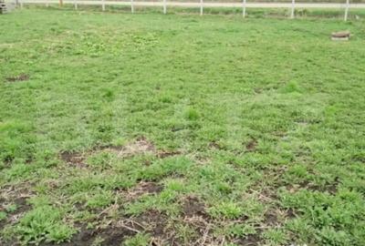 Teren de 3000 mp, în Călărași - 1