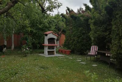Casă individuală cu 7 camere cu Canalizare în Iancu Nicolae - 27