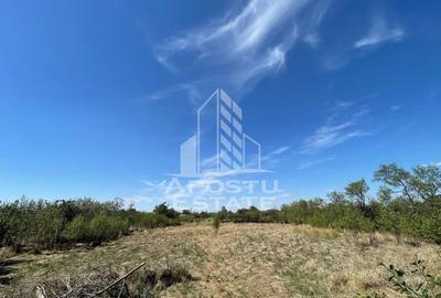 Casa cu teren 3407 mp, la asfalt, Seceani, 26 km de Timisoara. - 3