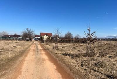 Teren  intravilan 859 mp in Calea Cisnadiei, constructii case insiruite
