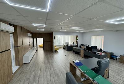 Spațiu comercial, de 483 mp, în Dumbrăvița - 17