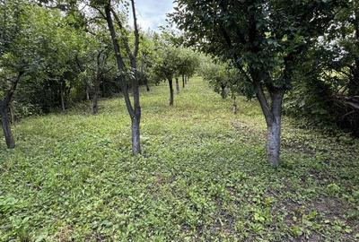 Teren de 2548 mp, în Central - 4