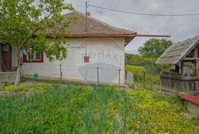 Casă cu 4 camere cu Teren 752 Mp în Racoș - 4