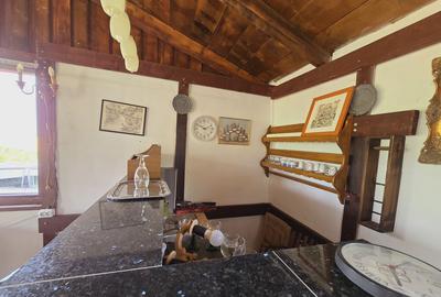 Teren de 80000 mp, în Covăsinț - 1