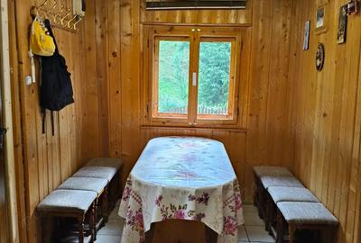 Inchiriez cabana Revelion 4500 lei - 7