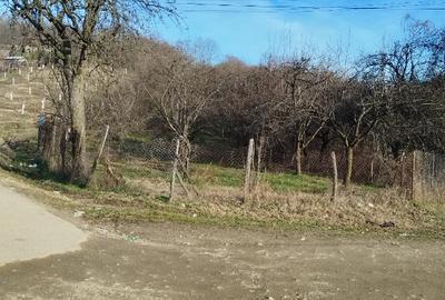 Teren de inchiriat pentru activitati apicole 1800mp - 2