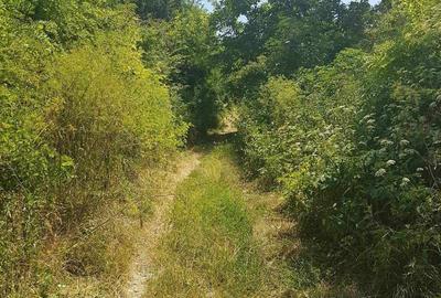 Teren de 800 mp, în Ungurei - 2