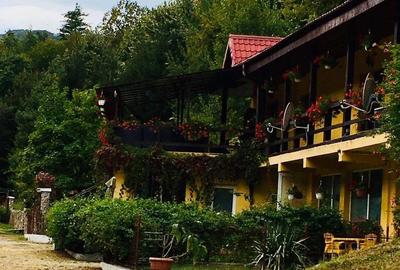 Teren pentru investitii 11.000 mp - 28