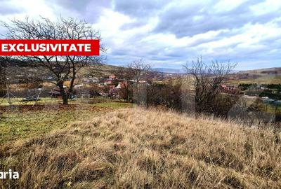 Teren de 857 mp, în Sopor - 1