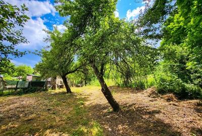 Teren 11700 mp în Valea Lungă, o oază de liniște, aer curat și verdeață - 6