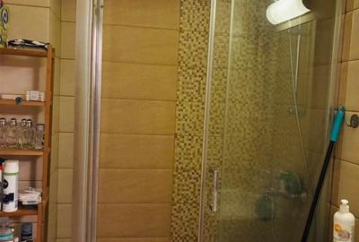 Apartament 2 camere | Ultracentral - Amzei | vedere spre Parcul Amzei - 11