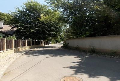 Teren Intravilan ,Padurea Baneasa , Voluntari - 2