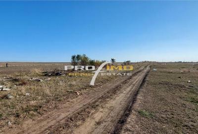 Teren 1600 mp. la cc.1km.de Mare - Eforie Sud-Castelul de Ap - 17