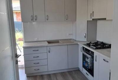 Casa individuala cu 3 camere in Bucium-Visani *mutare rapida* - 3