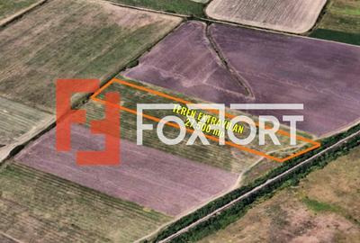 Teren extravilan 27.500 mp de vanzare in Timisoara-Zona Exterior Vest Mehala - 2