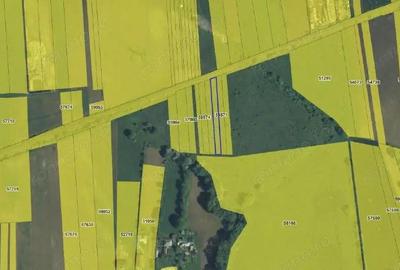 Targu Neamt, Punct Manesti, cota parte 1/2, ID: R2759107 - 5