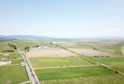 Teren la DN 1 Codlea ideal comercial - 4
