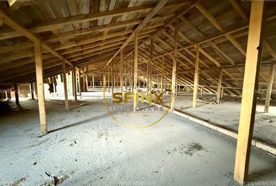 Balotesti, cladire la rosu 1.530 mp 30 camere teren 2000 mp, azil/ clinica - 17