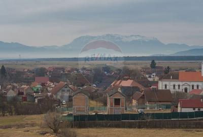 COMISION 0% Casa Individuala La Rosu cu teren de 4000 mp in Crizbav - 5