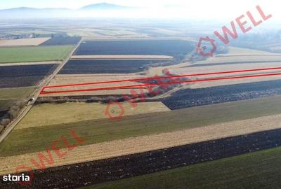 Teren de 6000 mp, în Ilieni - 2