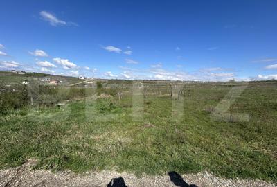 Teren intravilan de vanzare, 1153 mp, zona Iorga - 2