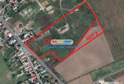 Teren de 38000 mp, în Tânganu - 2