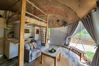 Teren extravilan de 1046 mp, în Valea Borcutului - 5