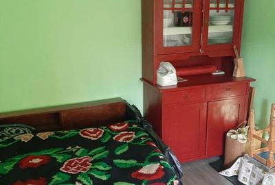 Casă cu 3 camere cu Teren 3800 Mp în Șăușa - 6