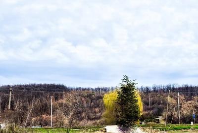 Casă cu 4 camere cu Teren 500 Mp în Drăganu - 4