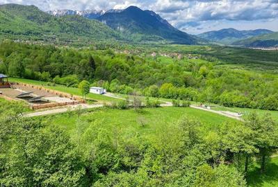 Teren de 500 mp, în Râșnov - 4