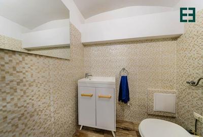 Spa?iu Comercial Demisol - Ultracentral - Arad - 3