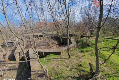 Spațiu comercial, în Jebel - 6