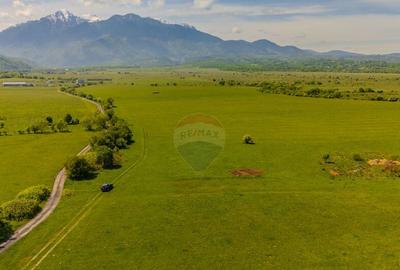 Teren 862mp Rasnov/Intravilan Teren 862mp Rasnov/Intravilan - 15