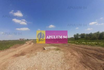 Teren de 29000 mp, în Pantelimon - 2