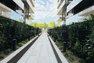 PIPERA IANCU NICOLAE CORTINA DE INCHIRIAT GARSONIERA LUX - 15