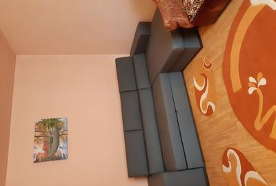 Apartament cu 2 camere decomandat în Drumul Carului - 3