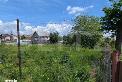 Teren de 12700 mp, în Priseaca - 3