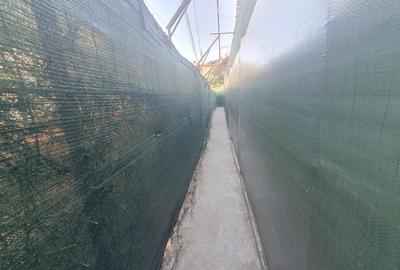 Casă cu 2 camere cu Teren 124 Mp în Central - 6
