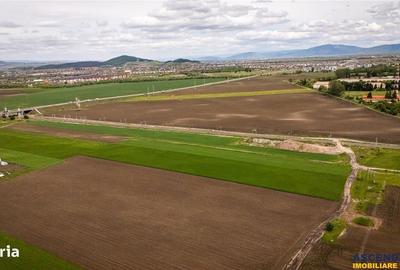 Spațiu comercial, în Griviței - 5