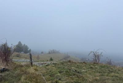 Teren Poiana Marului -Zarnesti -Brasov - 4