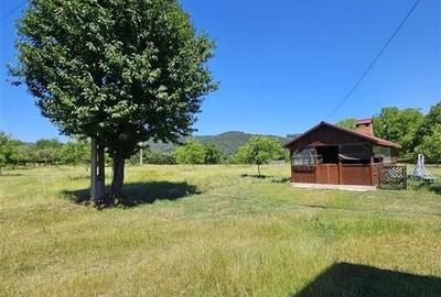 TEREN INTRAVILAN DEVANZARE 33161 MP DE VANZARE TARGU OCNA - 3