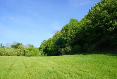 Teren 33,137mp Sighetu Marmatiei / Strada Mocani?ei - 11