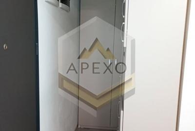 Apartament cu 2 camere semidecomandat, mobilat în Triaj - 5