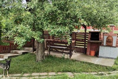 Casă cu 3 camere în Lechincioara - 8