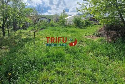 Spațiu comercial, în Micești - 4