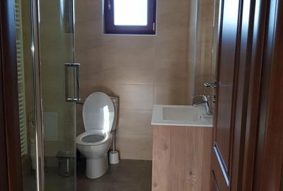 Apartament cu 3 camere decomandat în Blejoi - 3