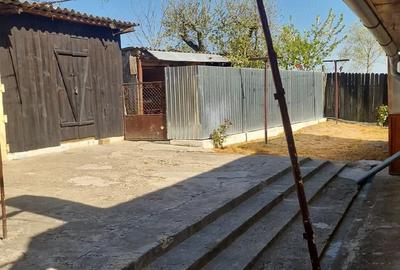 Casă cu 3 camere cu Teren 1352 Mp în Horia - 12