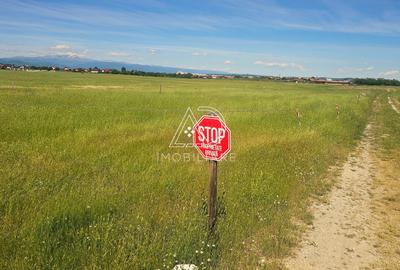 Teren agricol extravilan de 300 mp, în 9 Mai - 3